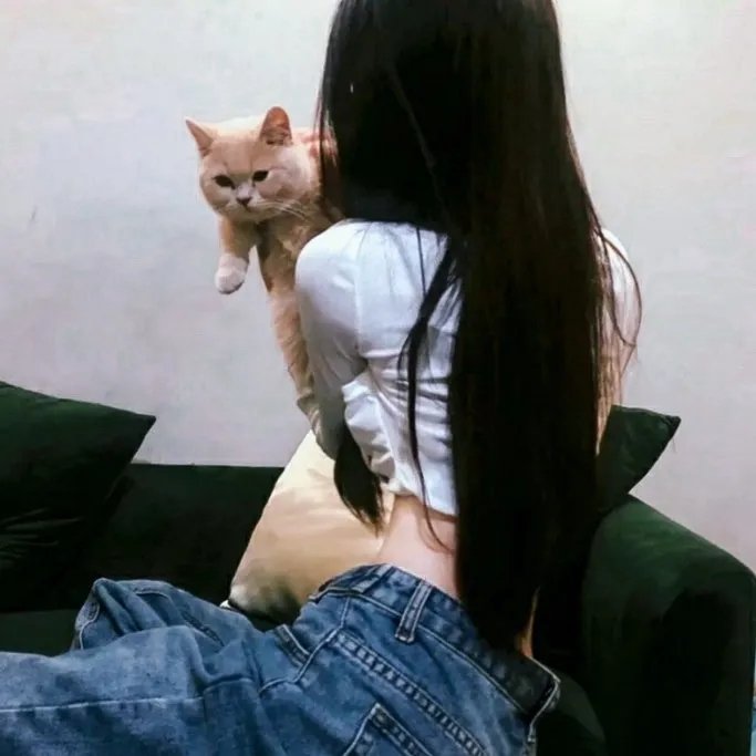 枭起青壤