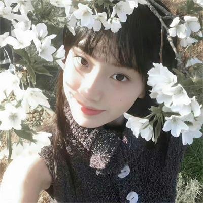 断林镇谜案第九季